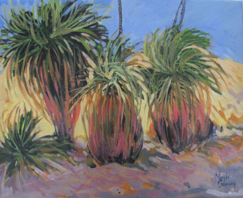 Grass Trees, Merredin  <br>oil 49 x 61  $795